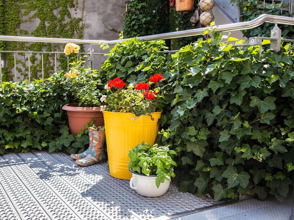 Greifennest Hotel Rostock